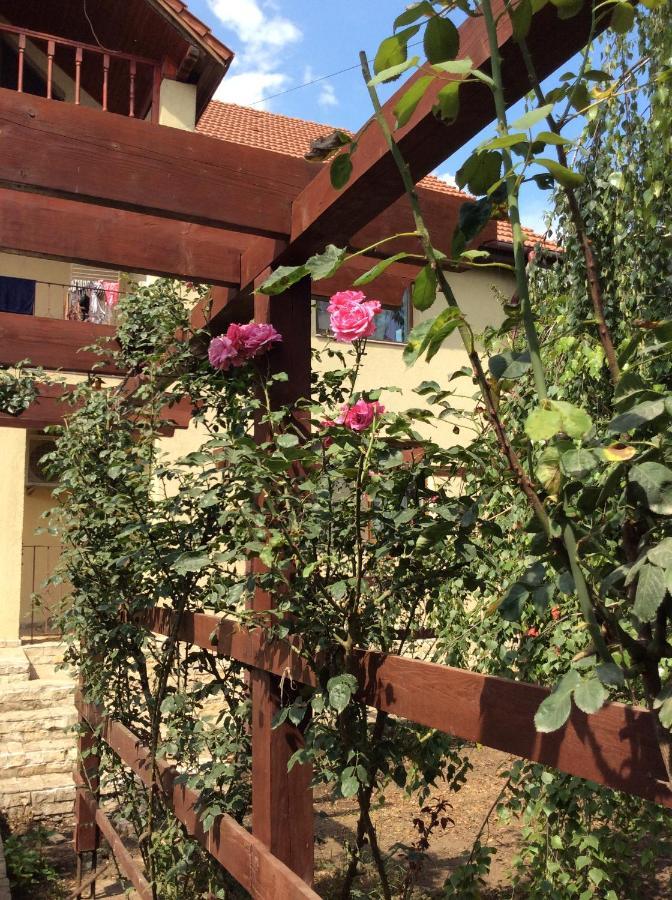 Villa Rosa Năvodari Exteriér fotografie